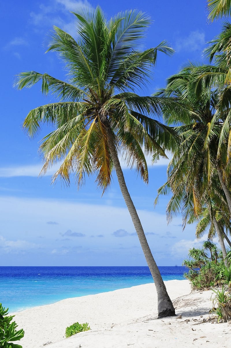 Exotic Travel Destinations