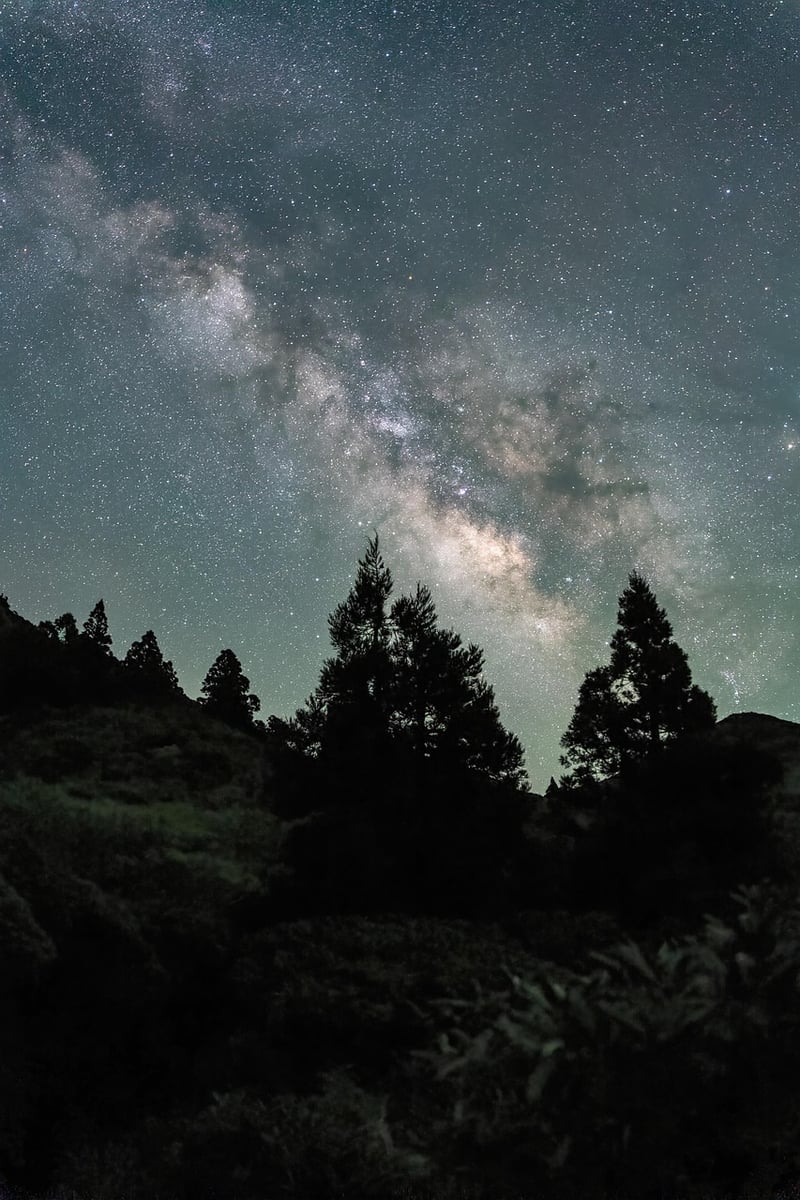 Celebrities under the stars